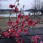 Gæstehus Petrino 3*