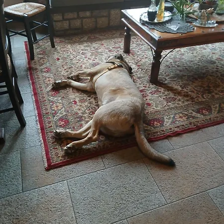 Πανσιόν το πέτρινο Πεζούλα