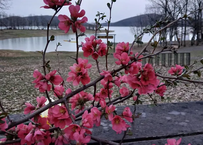 ゲストハウス Petrino 3*